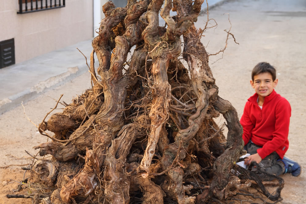 Hoguera y niño